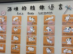 -有喵·猫咖·狗咖·30几只猫10只小狗(岗厦店)