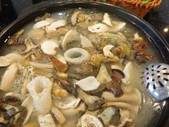 -草墩罗非鱼庄•野生菌•腊排骨(七星街上段店)