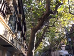 -Legno.ita Coffee by Wood(襄阳南路店)