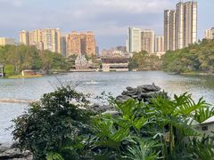 -荔湾湖公园