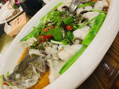 青椒桂花鲈-大门水乡·顺德菜