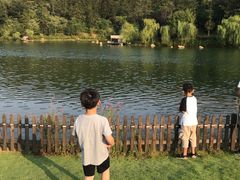 -南京银杏湖乐园