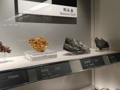 -中国地质博物馆