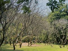 -华南国家植物园-售票处