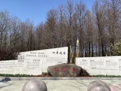 -顾村公园