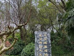 -天生桥景区