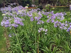 -嘉善路(地铁站)