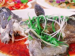 -亚龙湾热带天堂森林公园