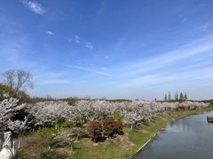 -上海海湾国家森林公园