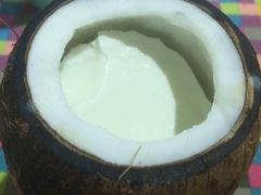 -志龙皇冠吃货椰子铺