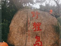 -野狸岛