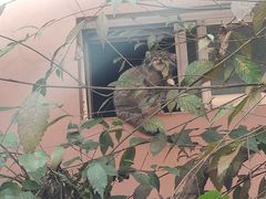 -青藏高原野生动物园