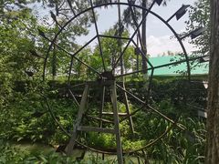 -合肥滨湖国家森林公园