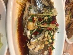 青石斑-阿杰臻选海鲜饭店(普陀山店)