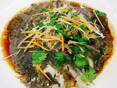 -烁佳海鲜大馅饺子