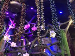 -醉小酒馆·川菜·江湖菜·重庆菜(观音桥旗舰店)