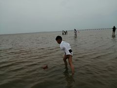 -南汇嘴观海公园