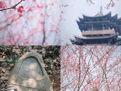 -杭州半山国家森林公园