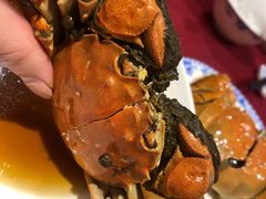 熟醉蟹-老吉士酒家(天平路店)