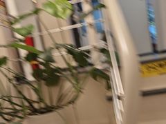 -艾维口腔(春江花月门诊部)