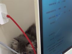 -佳雯宠物医院·皮肤科·内外科(春晓路分院)