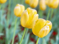 -豫园志愿服务青年中心