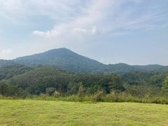 -黄埔油麻山森林公园