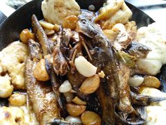 -汤山温泉房车营地 茶温泉