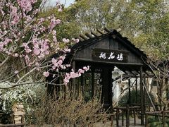 -无锡蠡湖国家湿地公园-蠡园