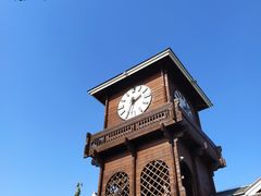 -永定河休闲森林公园