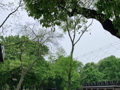 -WeLope紫金山探险公园