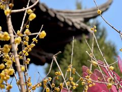 -钱王祠