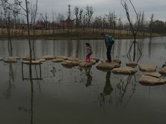 -上海长兴岛郊野公园