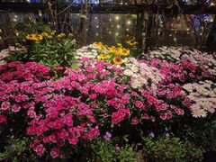 -冰冰龙虾·江湖菜·花园江景餐厅