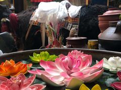 -吉祥圣雪藏餐