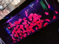 -M-SHOW 米秀主题KTV(左岸印巷店)