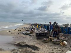 -尼甘布海鲜市场