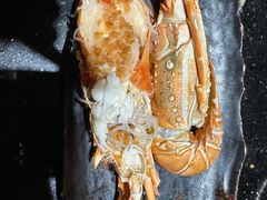 -daozao料理美术馆(东营店)
