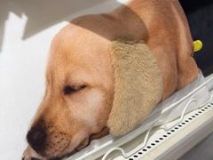 -NITORI 宜得利家居(上海中山公园龙之梦店)