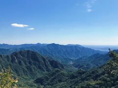 -大岭沟猕猴桃谷风景区