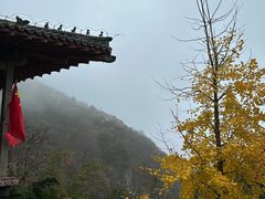 -醉得意·山茶油炒土鸡(泰安火车站大润发店)