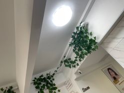 -凡碧诗毛孔收细