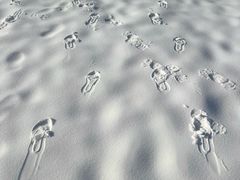 -海上明珠主题乐园