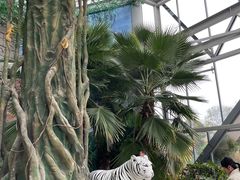 -祥源·阜阳生态乐园