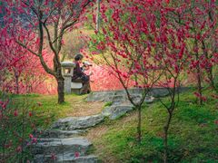 -桃花涧
