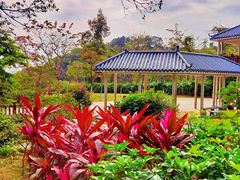 -火炉山森林公园