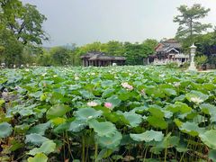 android_upload_pic-惠州西湖