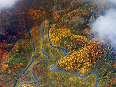 -光雾山旅游景区