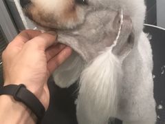 -1013 PET SHOP 宠物商店(近铁城市广场店)