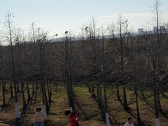 -南汇嘴观海公园